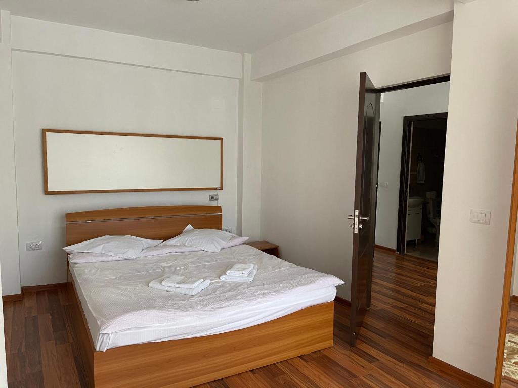 Olanesti Apartament