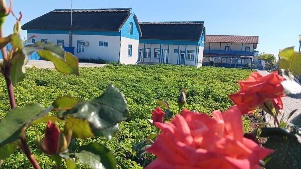 Pensiune Agroturistica CASA LETEA