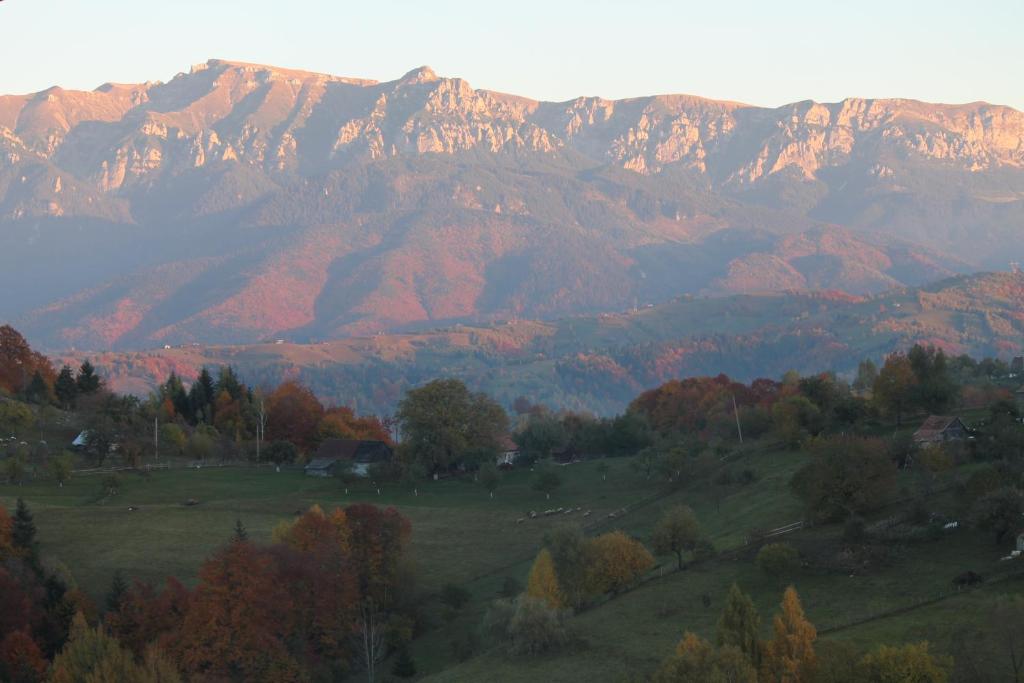 Pensiunea Pestera