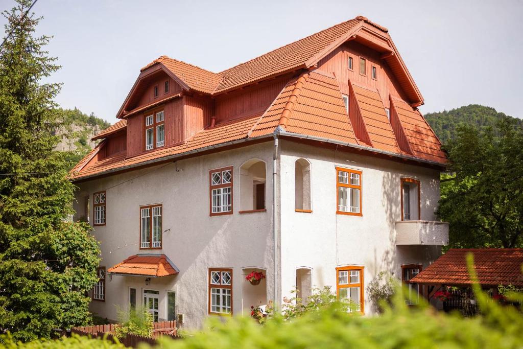 Pensiunea Ritz