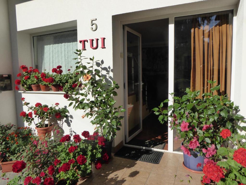 Pension Tui