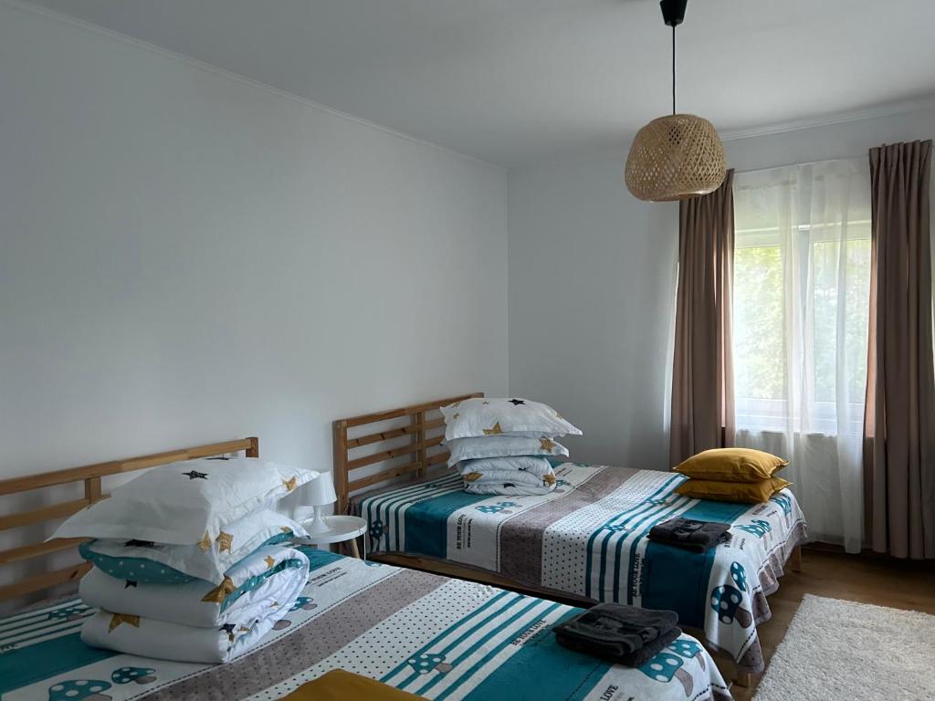 Pridvorul lui Viorel