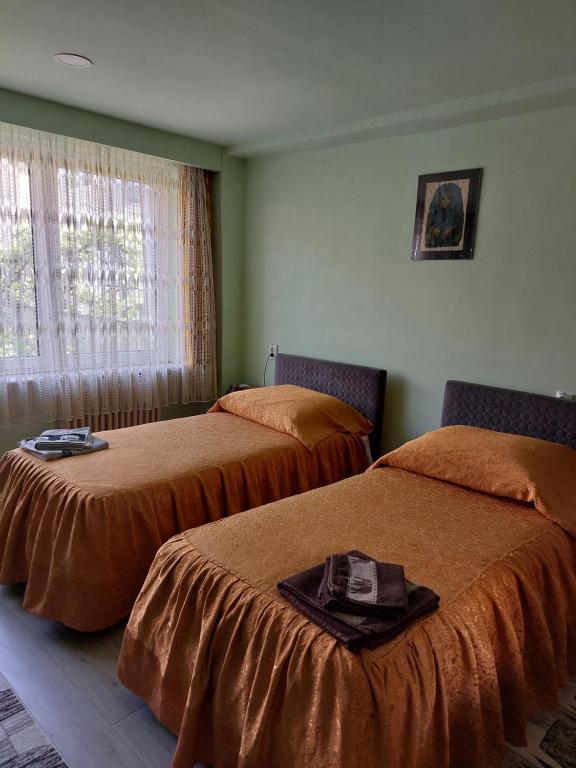 Rodica Apartment