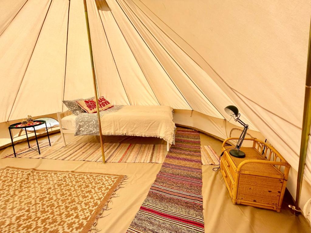 Saschiz 130/Lodging and Glamping
