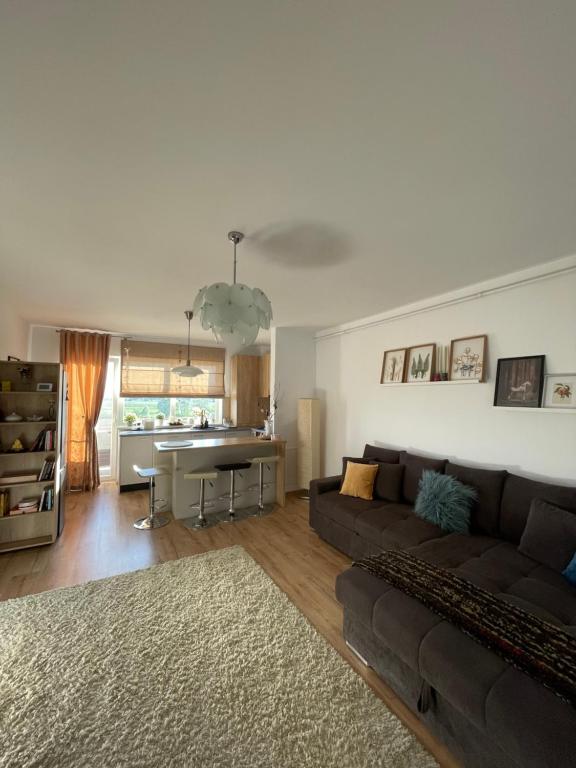 Serenity Suite