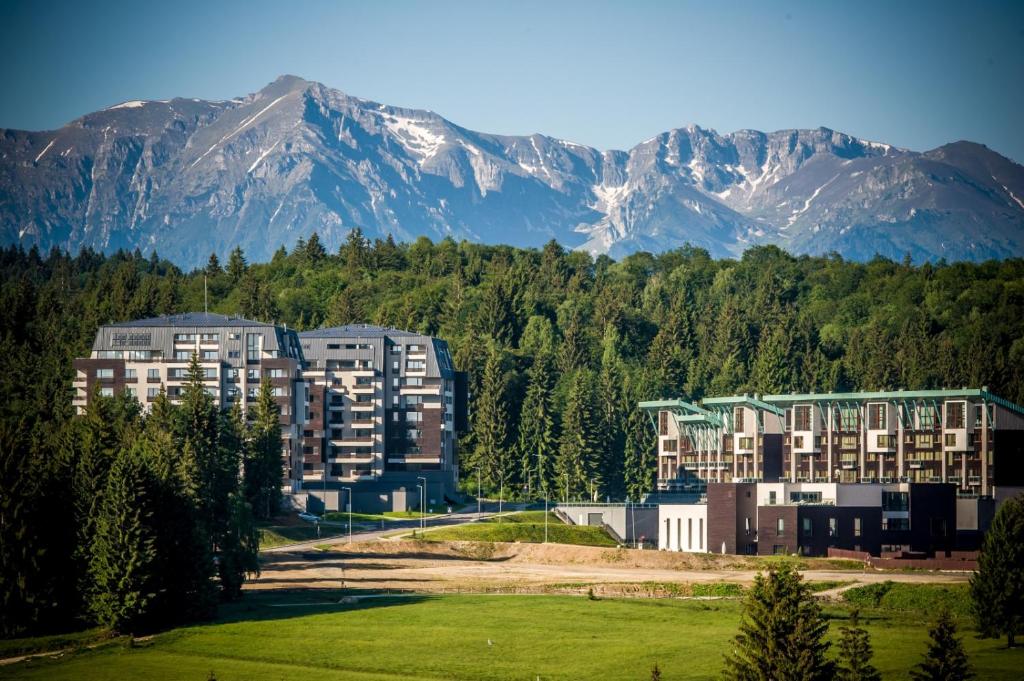 Pine Woods Apartment A43 in Silver Mountain