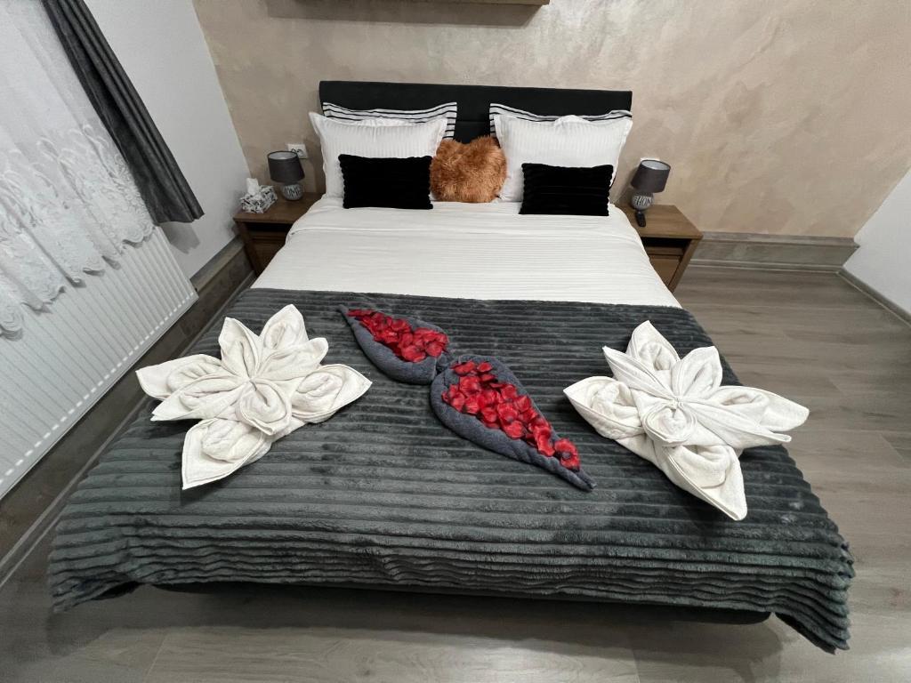 Studio Anca-old town Sibiu