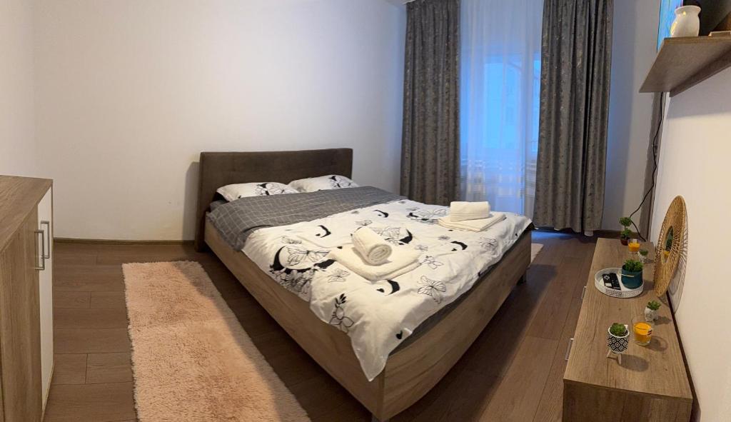 Studio Ciupercă