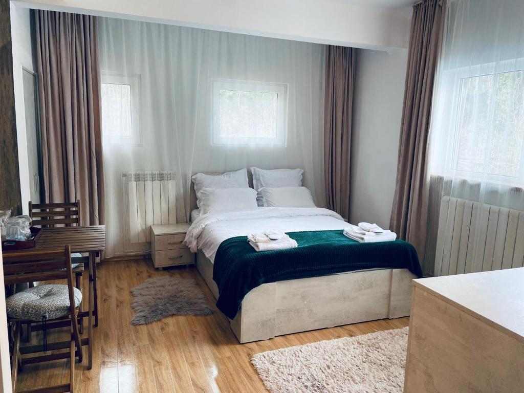 Studio Poema Ultracentral Sinaia