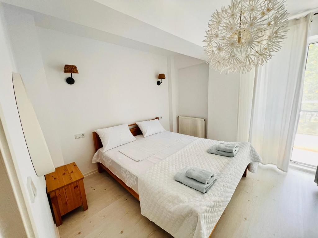 The Airport Loft