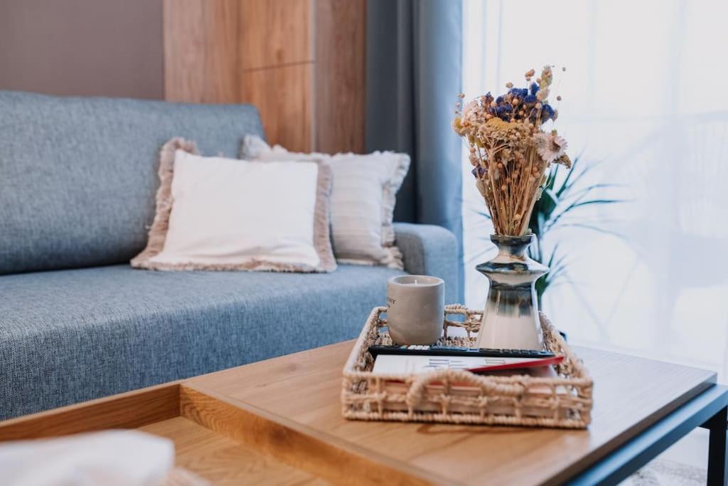 The Cozy Nook - Iulius Park & Mall, modern, private parking