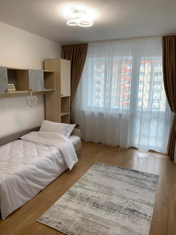 Victoriei Boulevard Private Apartment