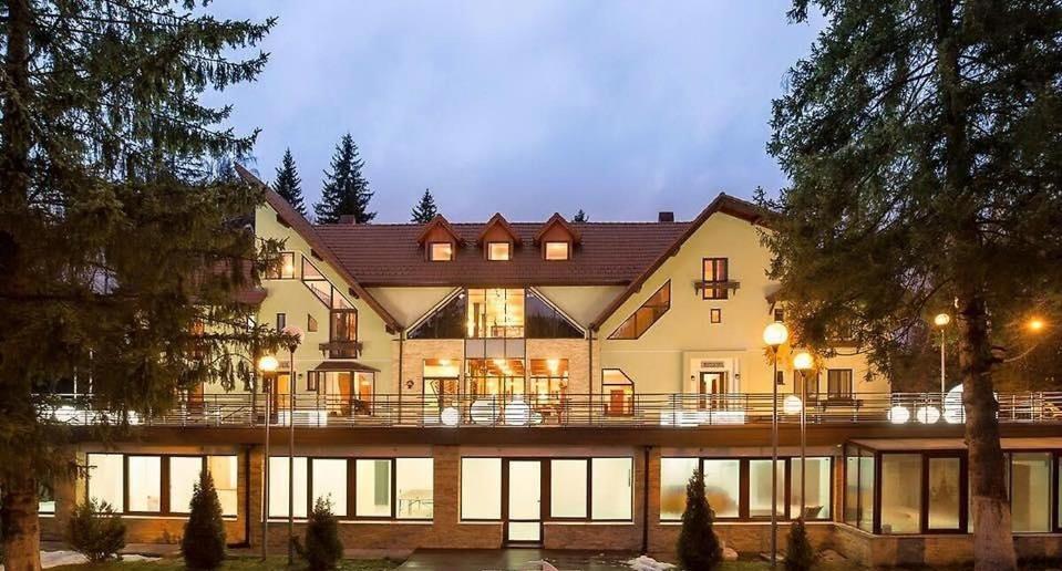 Vila Pinul si Mesteacanul