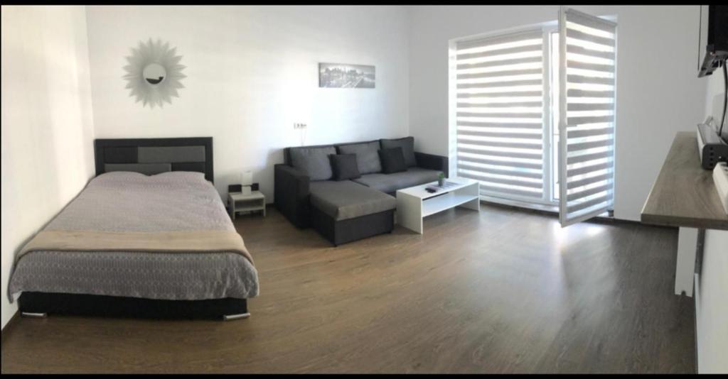 Vivamus Studio