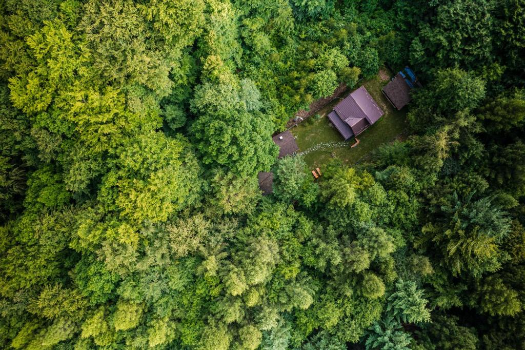 ZADA nature lounge