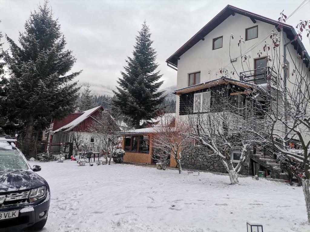 Zoso home